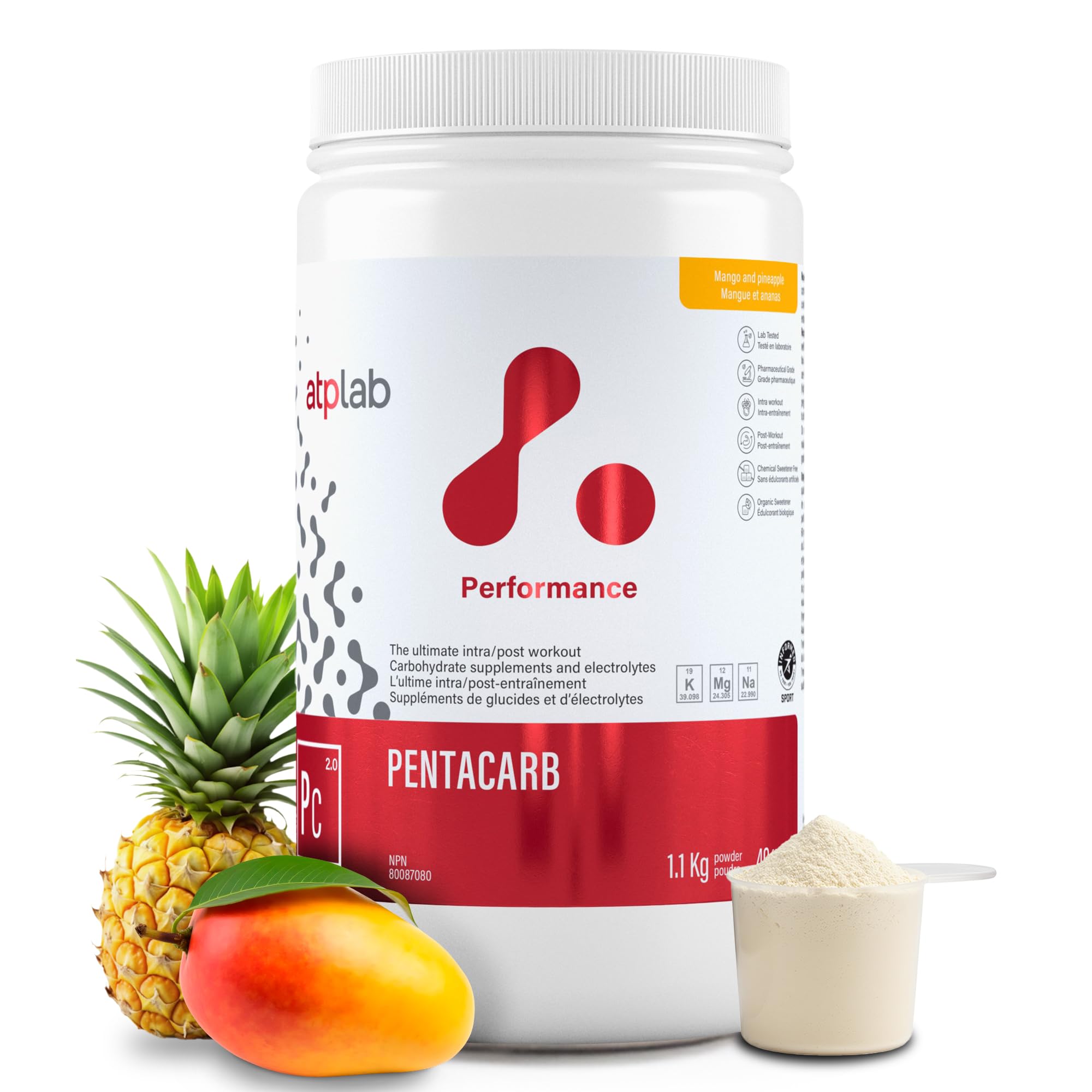 Amazon.com: ATP LAB Pentacarb 1.1kg Powder 40-Servings - Mango and